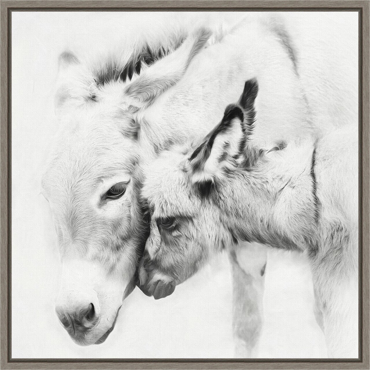 Donkey Portrait III by PHBurchett 16-in. W x 16-in. H. Canvas Wall Art Print Framed in Grey